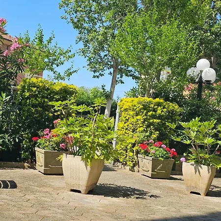 Sara*** 3* Cesenatico